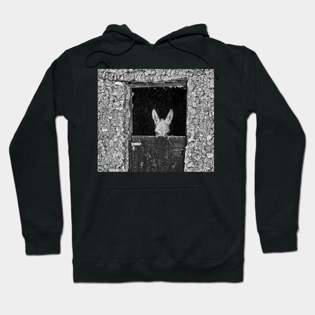 Donkey. Hoodie by bulljup